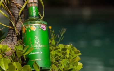 TWO GINGERS Launches La Primavera To Complete Their ‘Four Seasons In One Day’