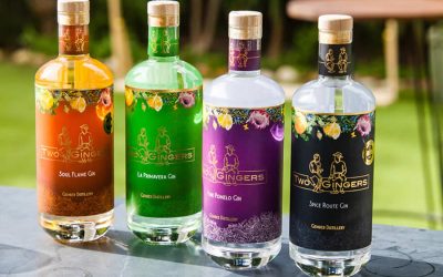 5 Awards for Two Gingers Craft Gins in its first year!